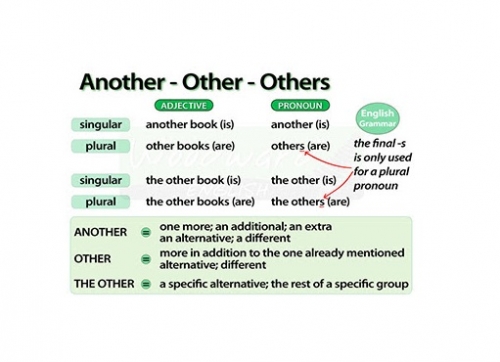 Cách sử dụng các từ other, others, another, the other và the others